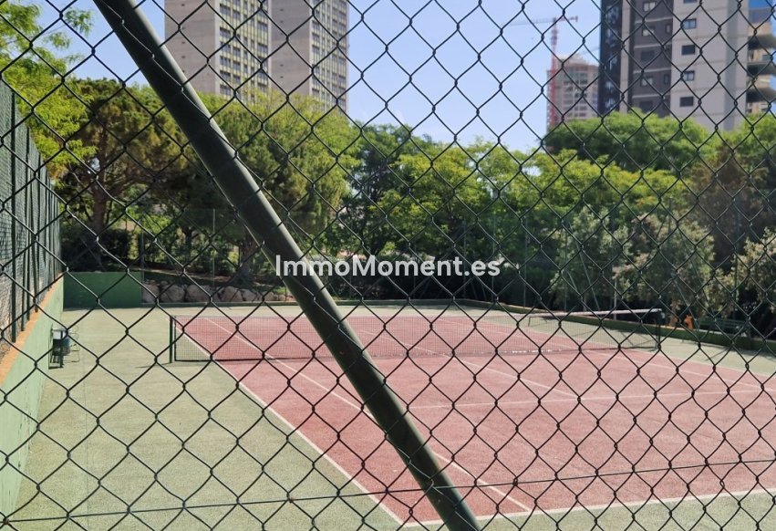 Revente - Appartement - Benidorm - Benidorm Centro