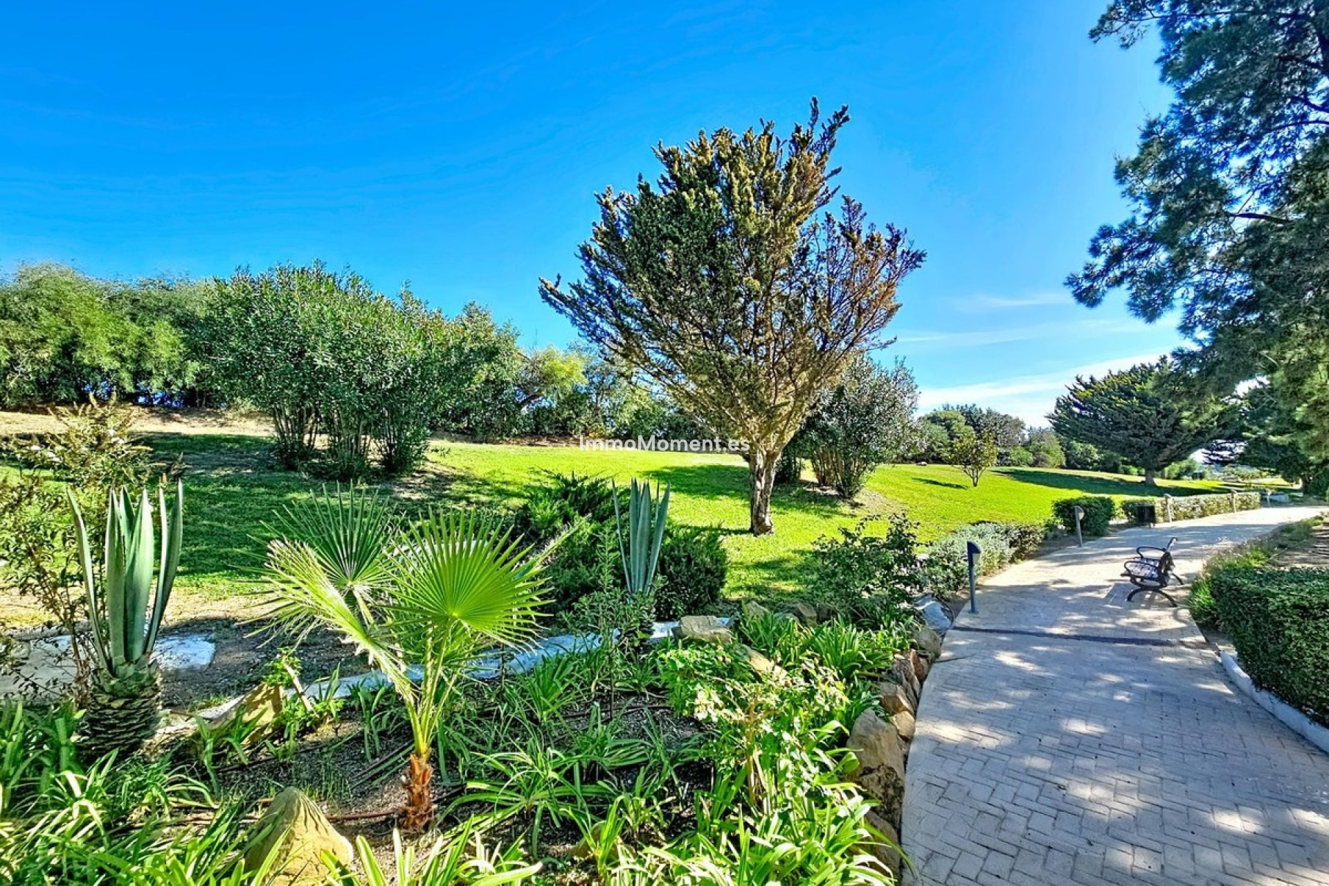 Revente - Appartement - Casares - Casares Centro