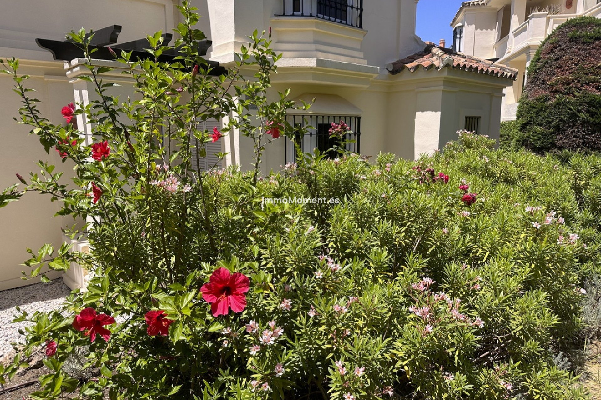 Revente - Appartement - Casares - Casares Centro