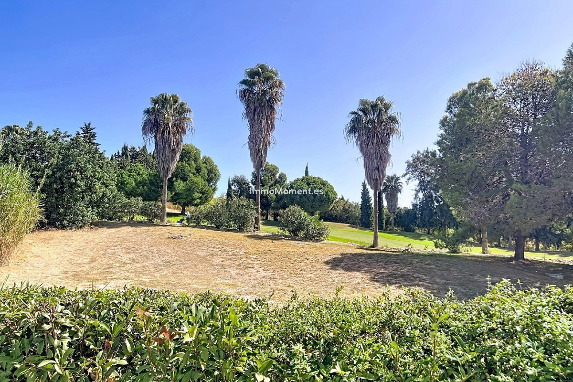 Revente - Appartement - Casares - Casares Centro