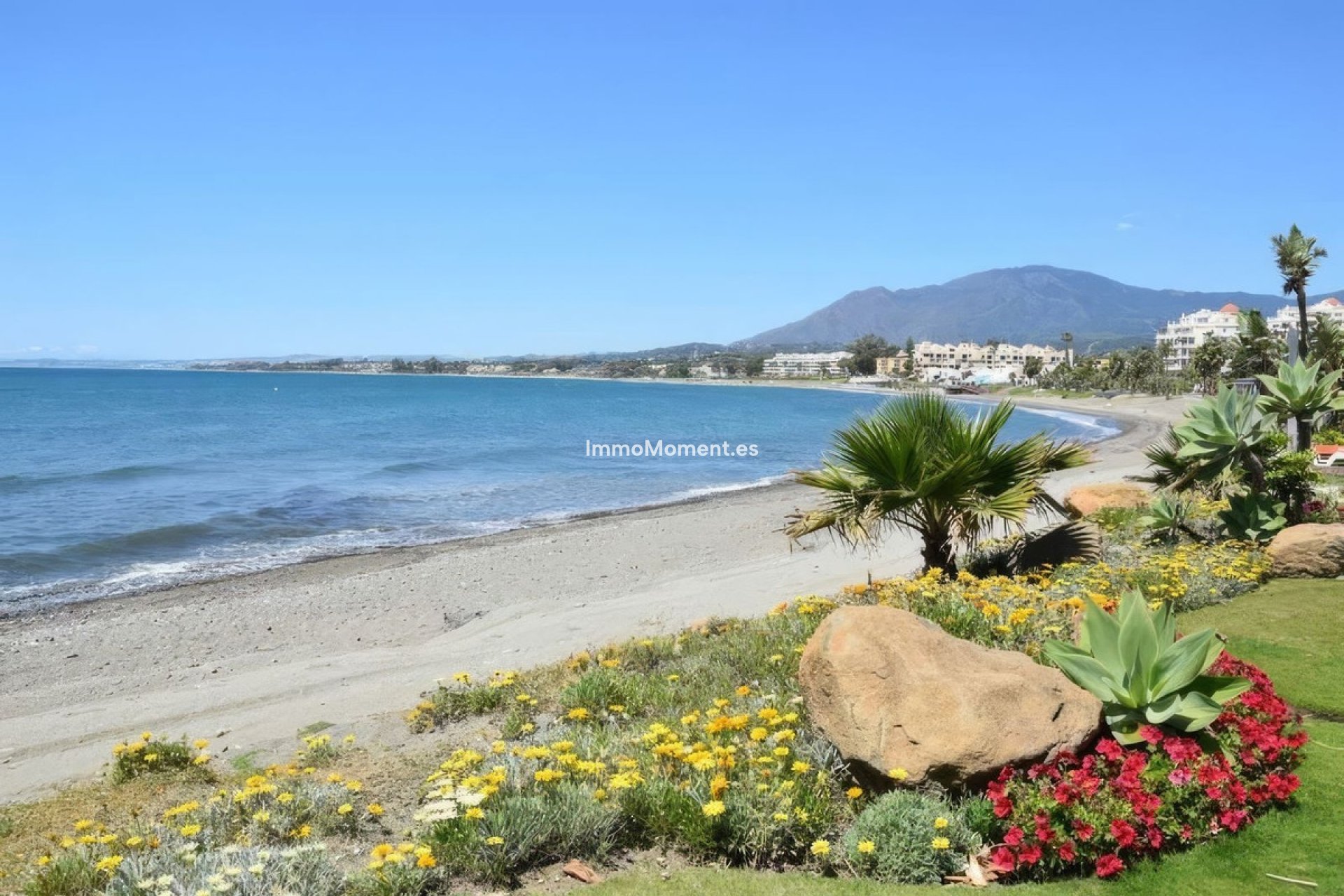 Revente - Appartement - Estepona  - Estepona Centro