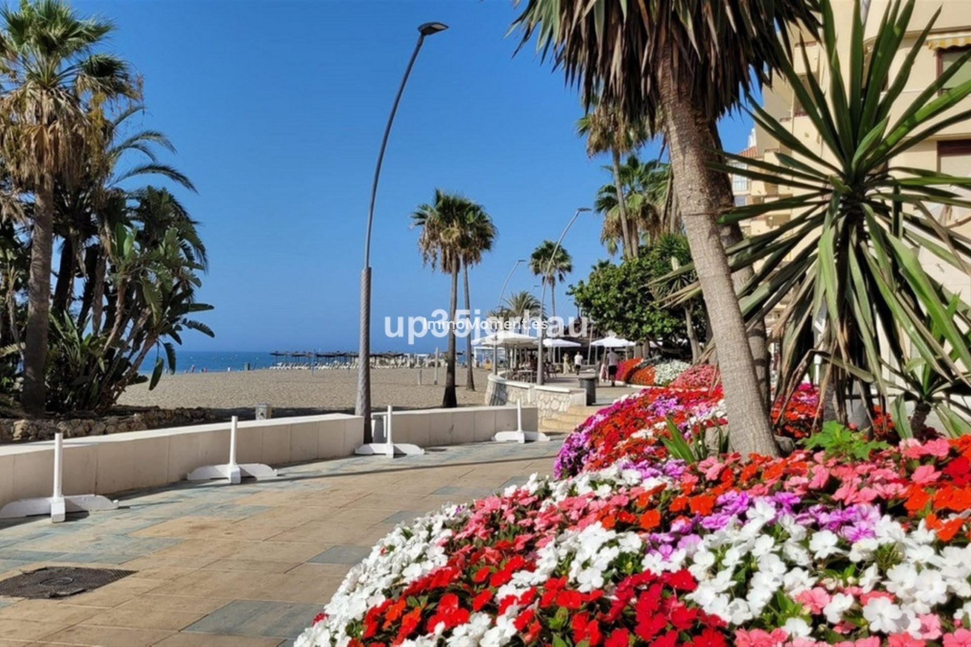 Revente - Appartement - Estepona  - Estepona Centro