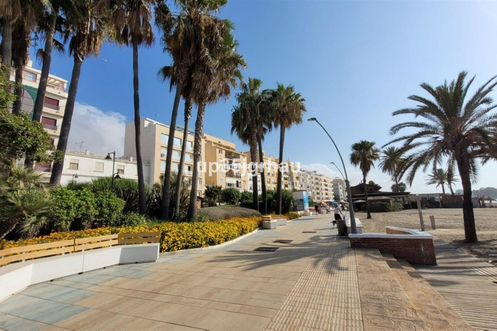 Revente - Appartement - Estepona  - Estepona Centro