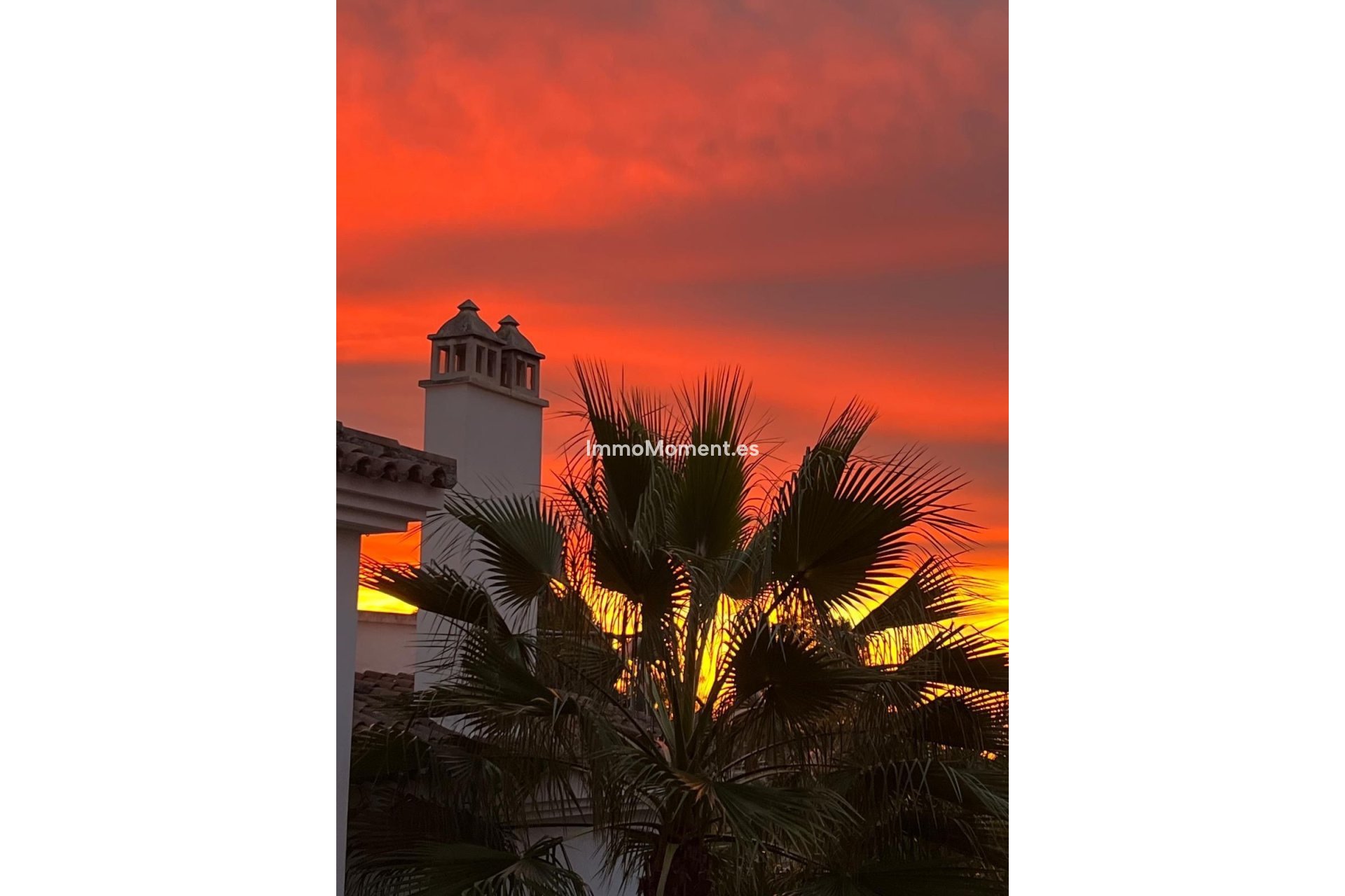 Revente - Appartement - Estepona  - New Golden Mile