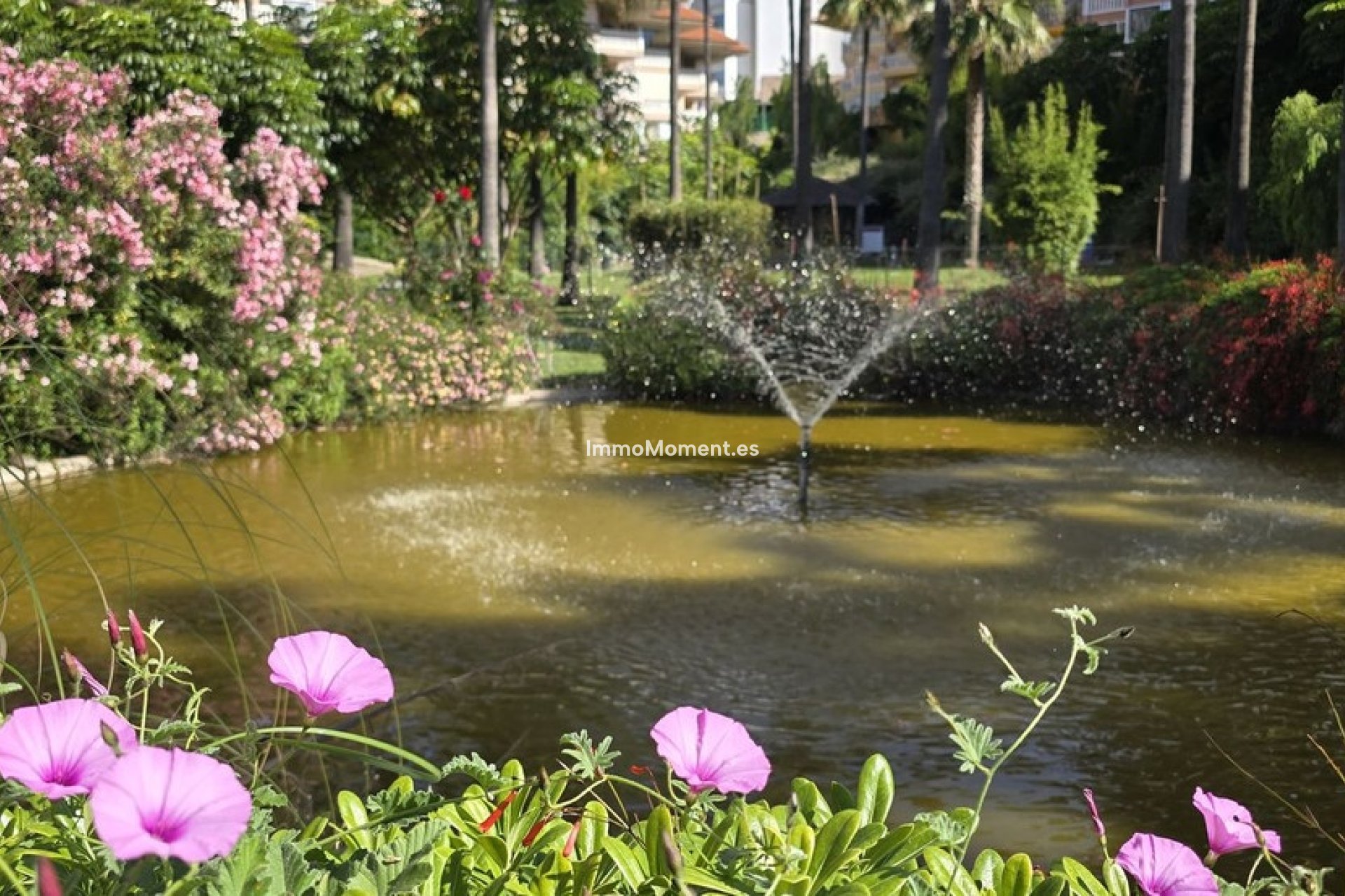 Revente - Appartement - Fuengirola - Higueron