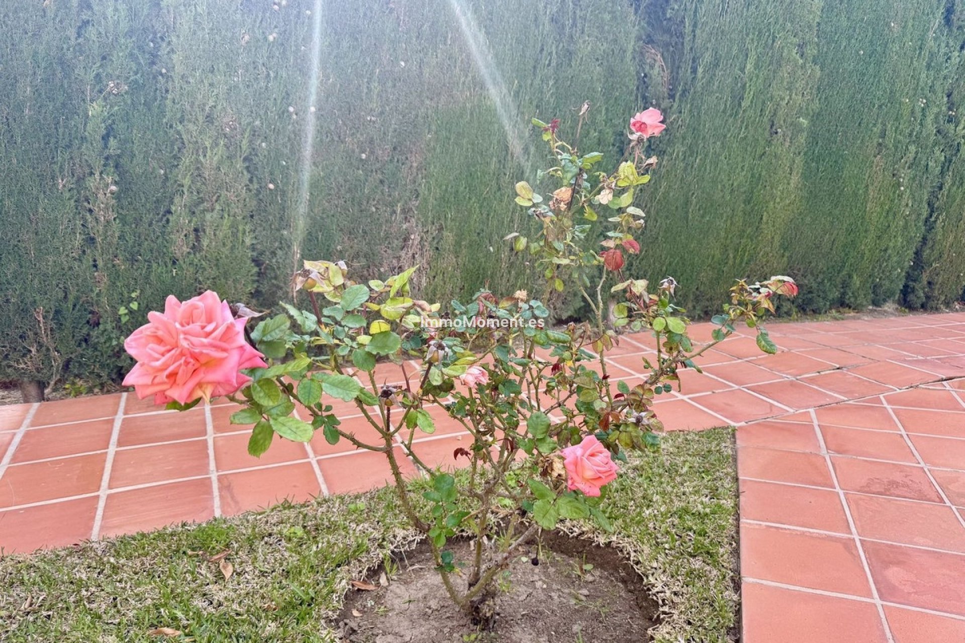 Revente - Appartement - Fuengirola - Torreblanca