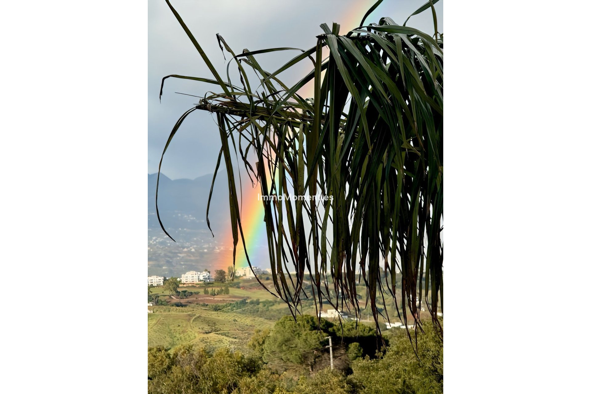 Revente - Appartement - Intérieur                       - Ojén