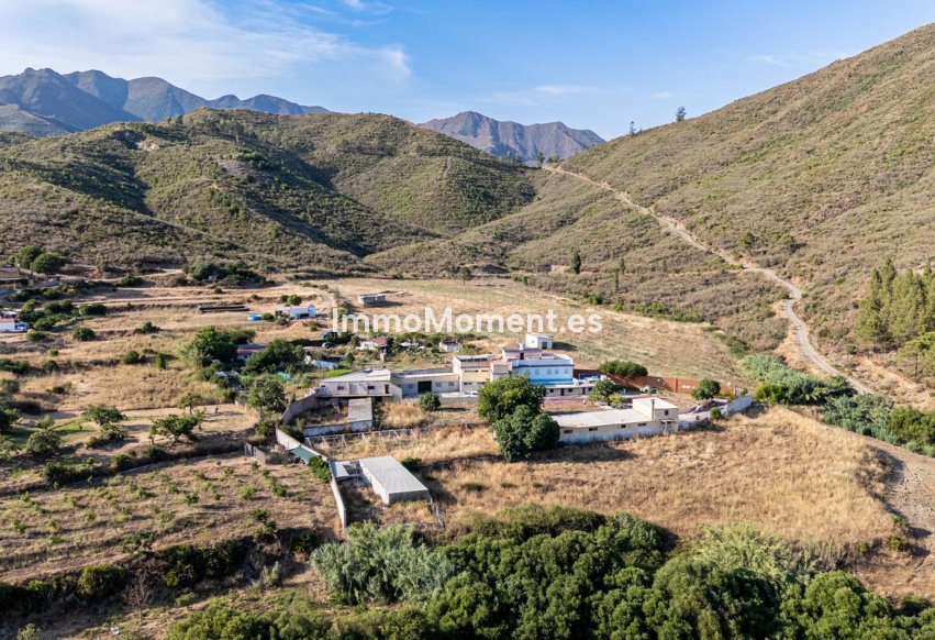 Revente - Appartement - Intérieur                       - Ojén