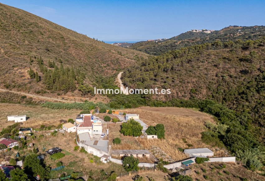 Revente - Appartement - Intérieur                       - Ojén