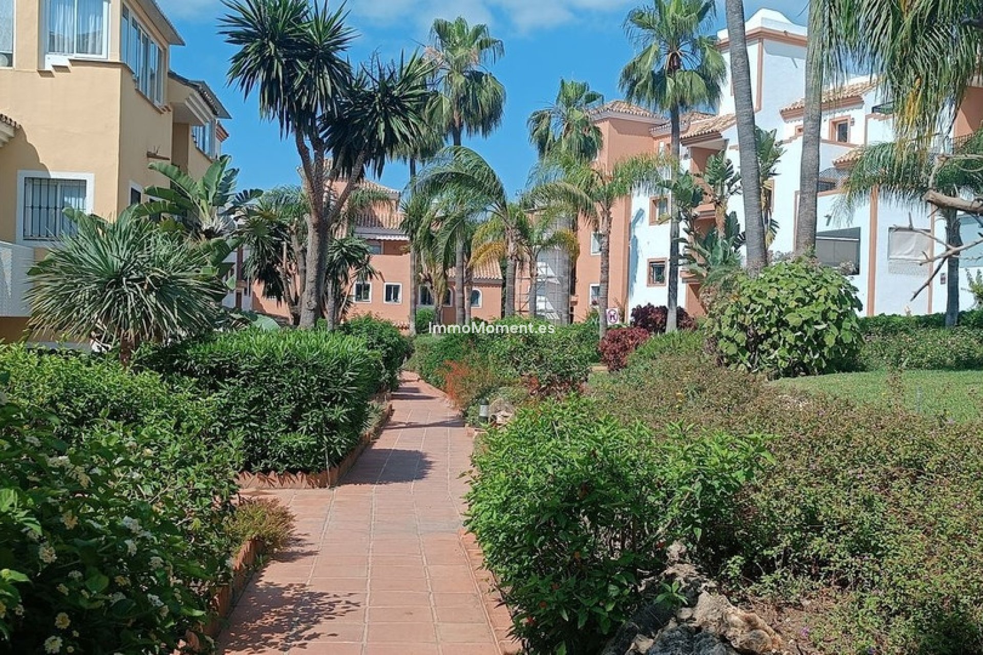 Revente - Appartement - Marbella - Guadalmina Alta