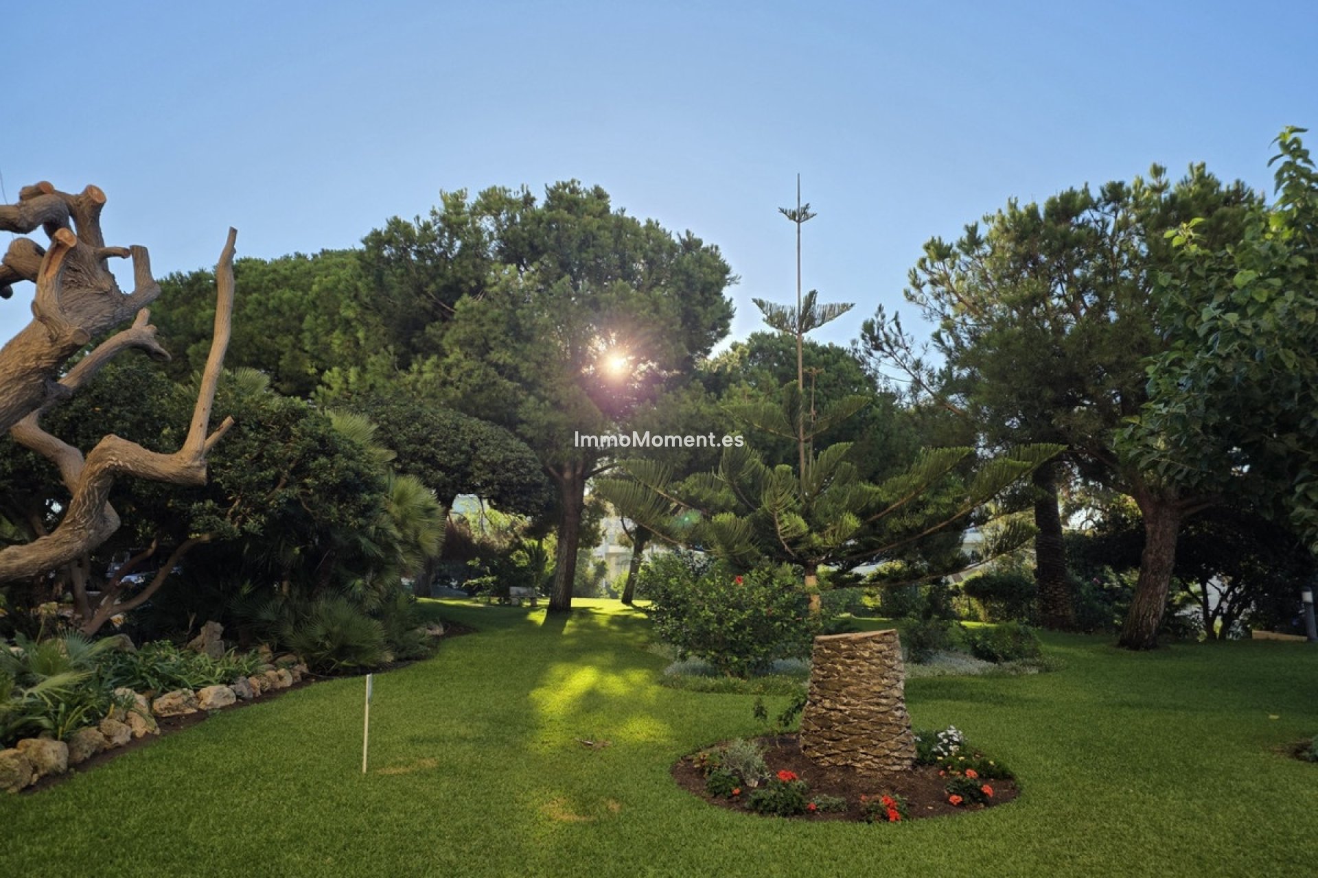 Revente - Appartement - Marbella - Marbella Centro