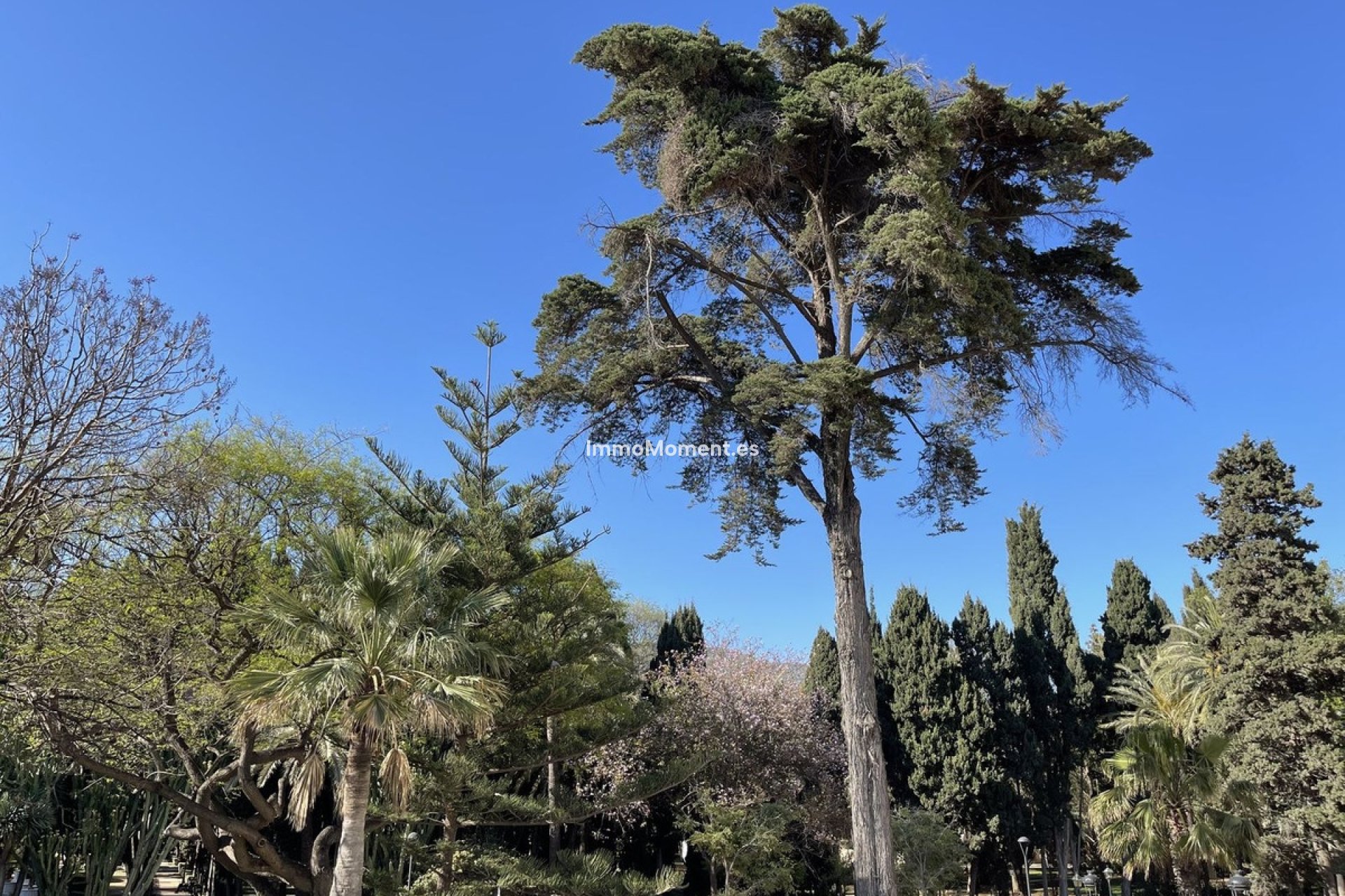 Revente - Appartement - Marbella - Marbella Centro