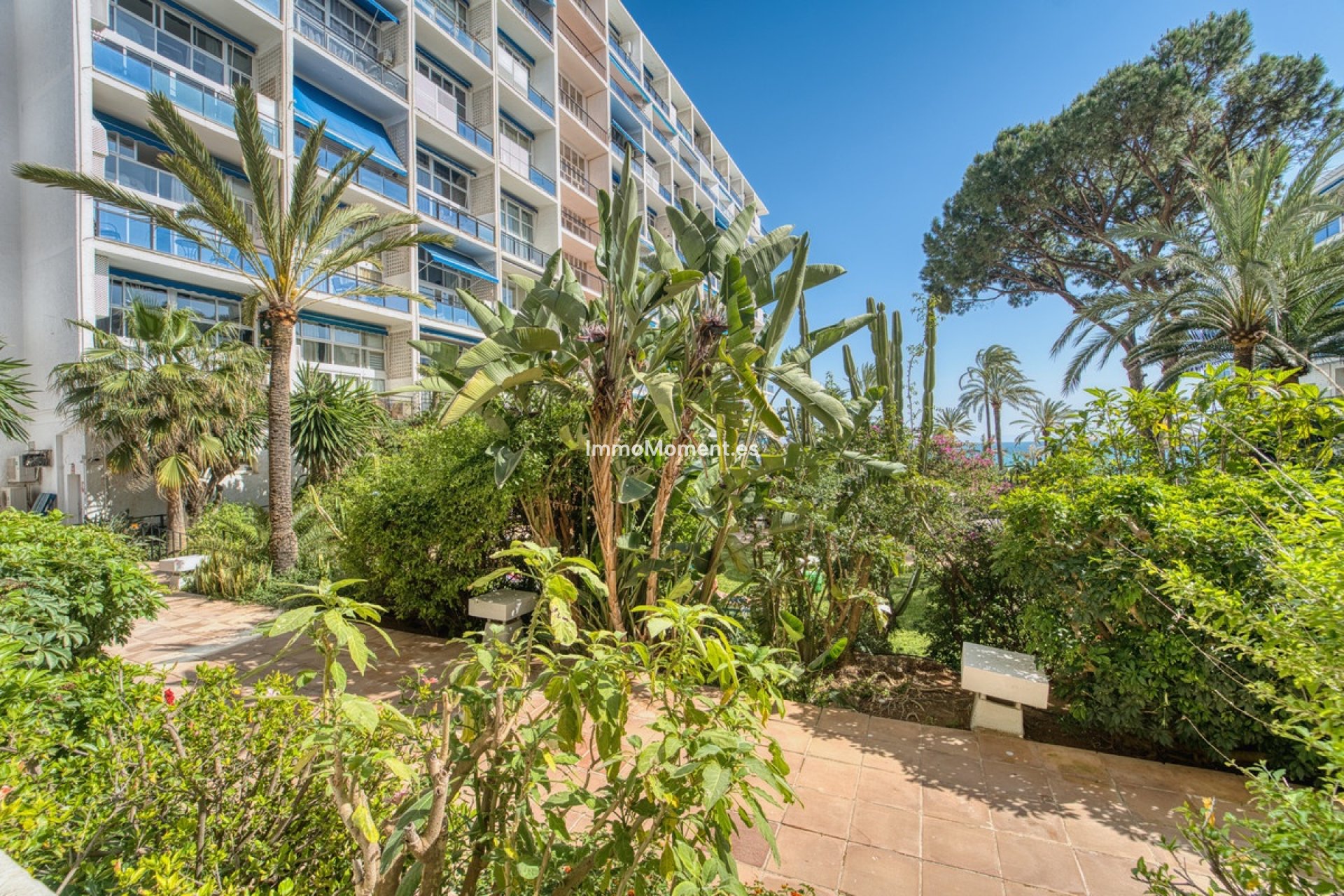 Revente - Appartement - Marbella - Marbella Centro