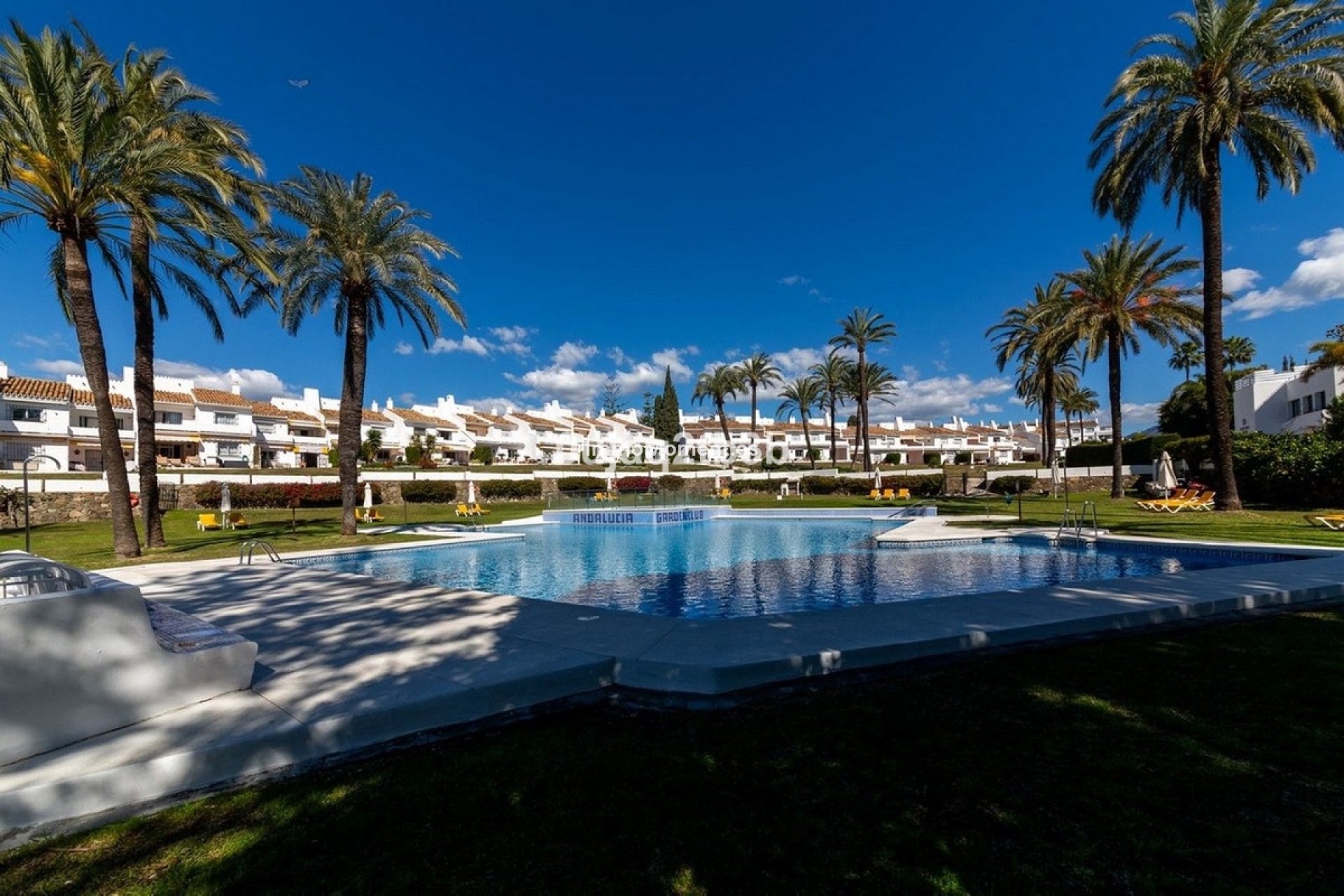 Revente - Appartement - Marbella - Nueva Andalucía