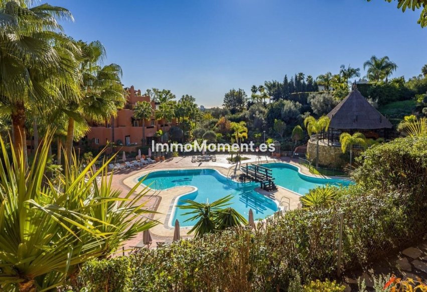Revente - Appartement - Marbella - Nueva Andalucía