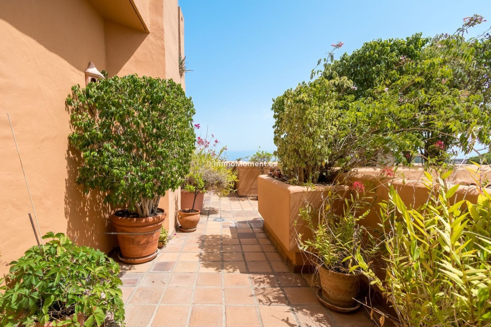 Revente - Appartement - Marbella - Nueva Andalucía