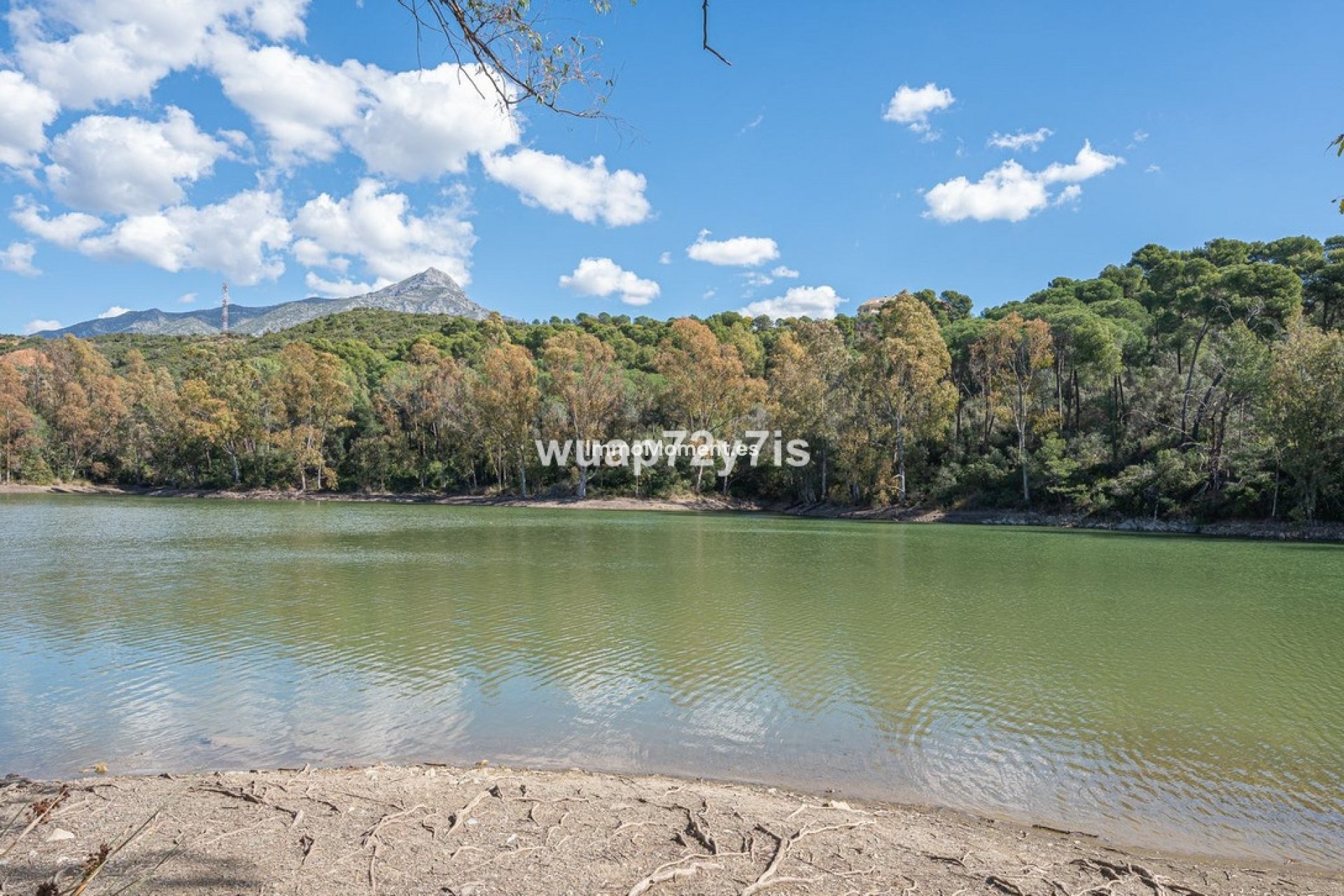 Revente - Appartement - Marbella - Nueva Andalucía