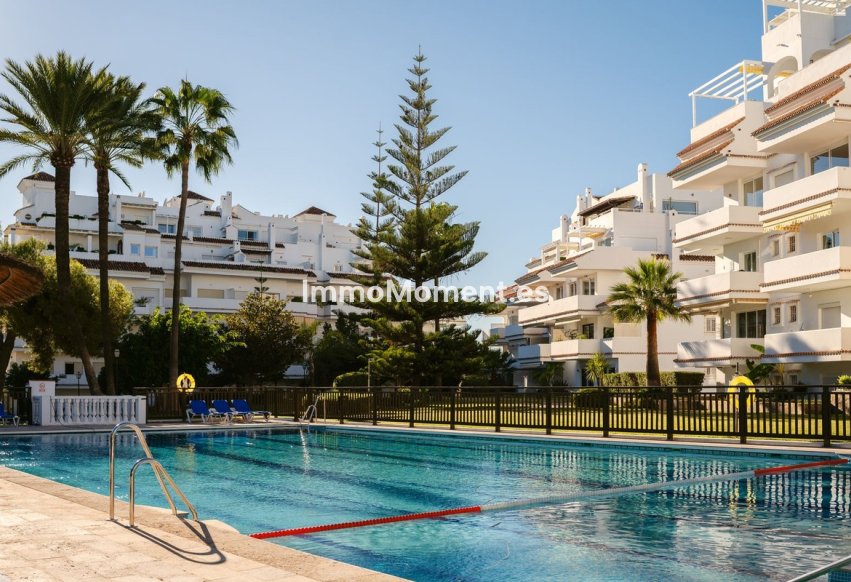Revente - Appartement - Marbella - Nueva Andalucía
