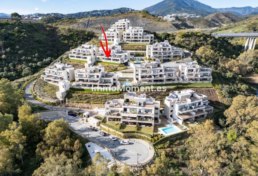 Revente - Appartement - Marbella - Nueva Andalucía