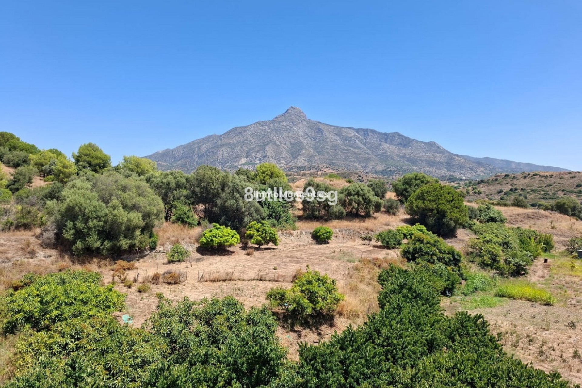 Revente - Appartement - Marbella - Nueva Andalucía