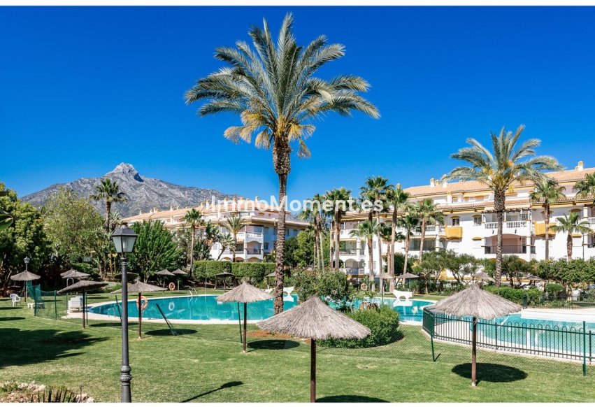 Revente - Appartement - Marbella - Nueva Andalucía