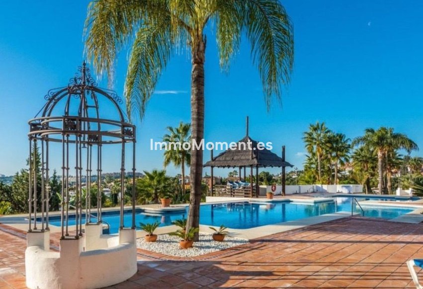 Revente - Appartement - Marbella - Nueva Andalucía