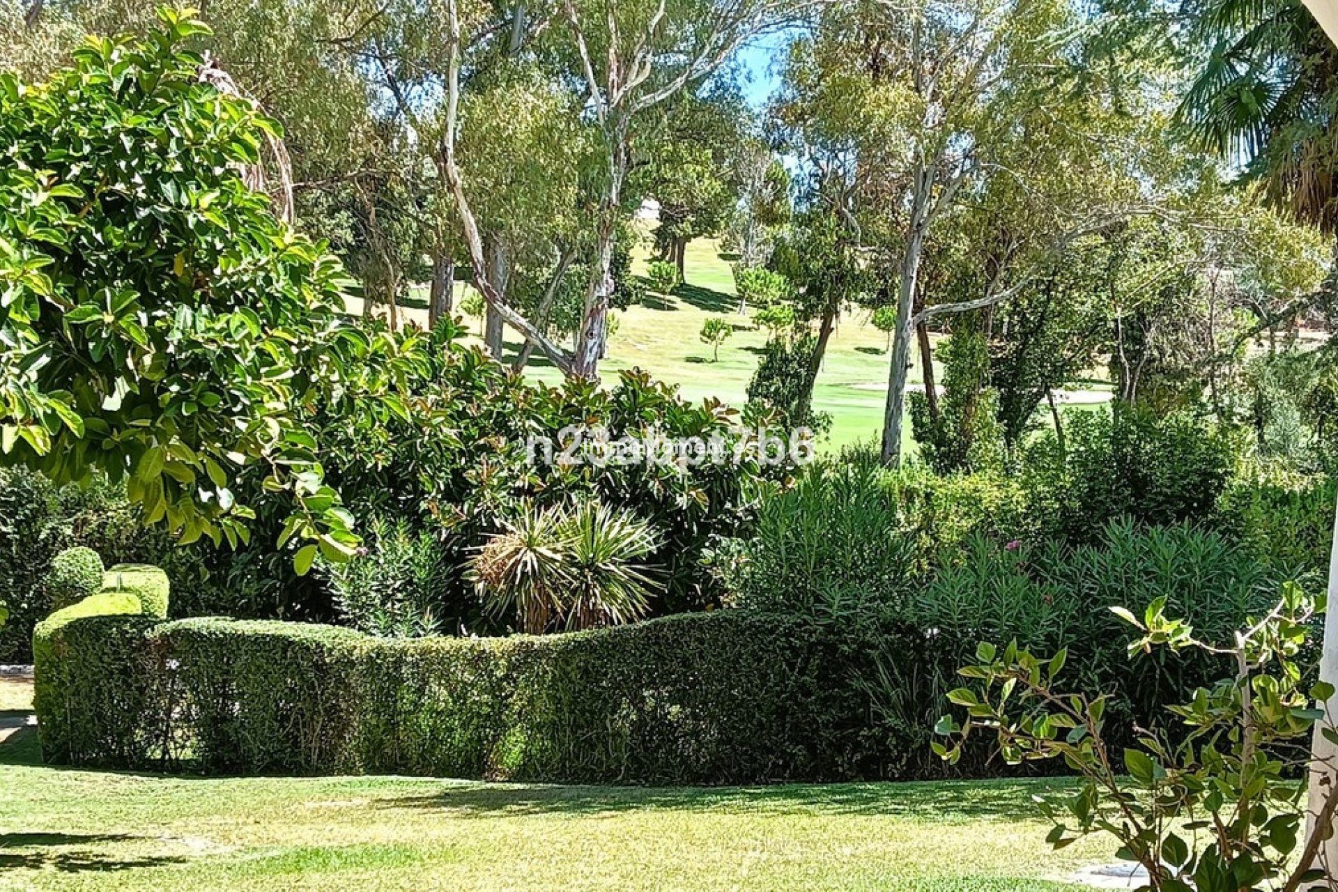 Revente - Appartement - Marbella - Nueva Andalucía