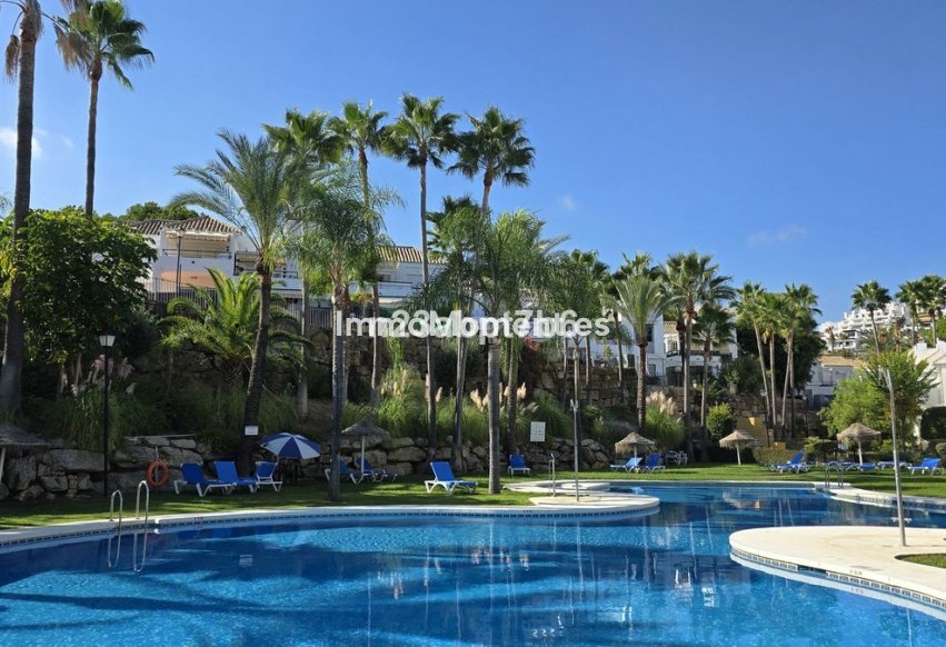 Revente - Appartement - Marbella - Nueva Andalucía