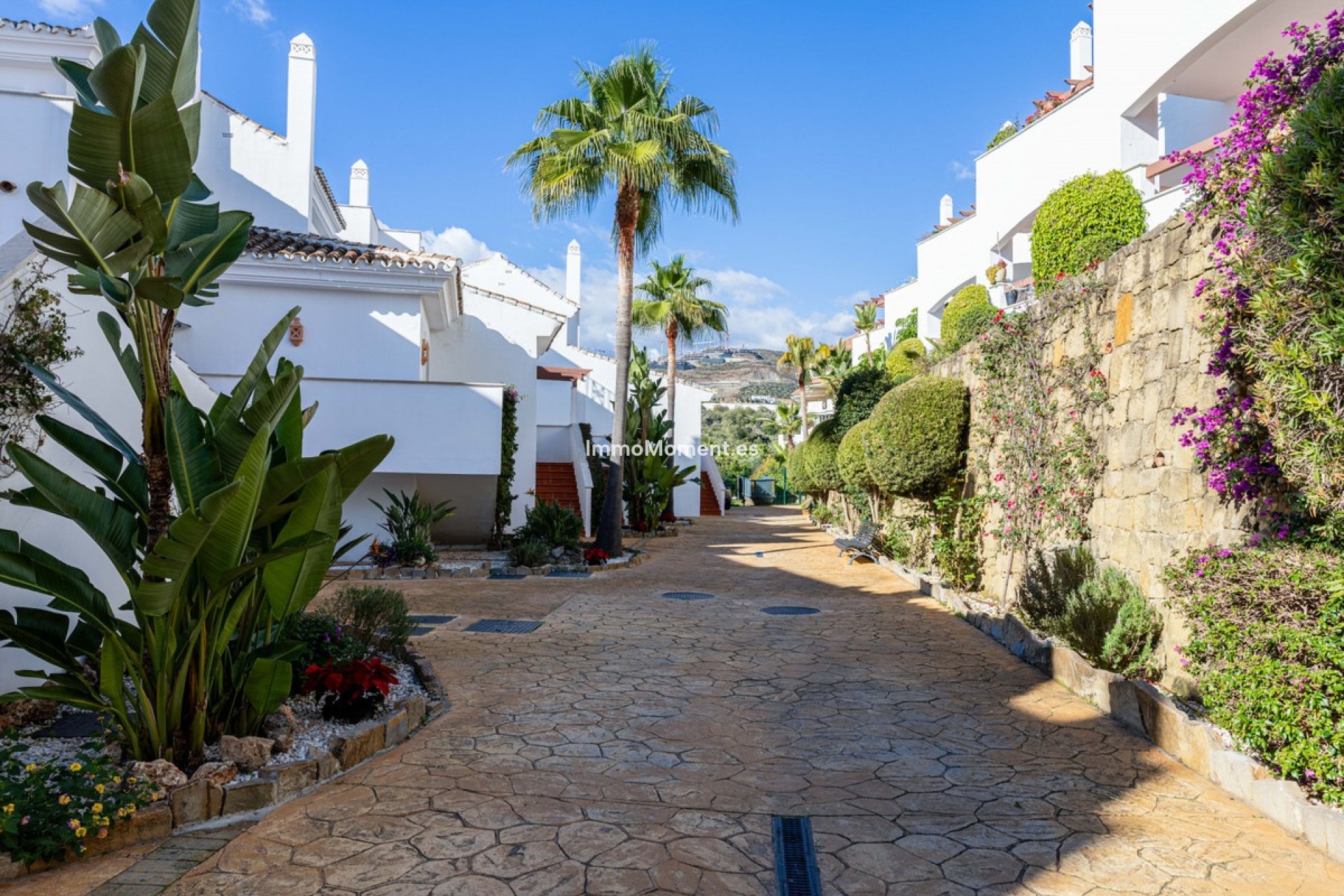 Revente - Appartement - Marbella - Nueva Andalucía