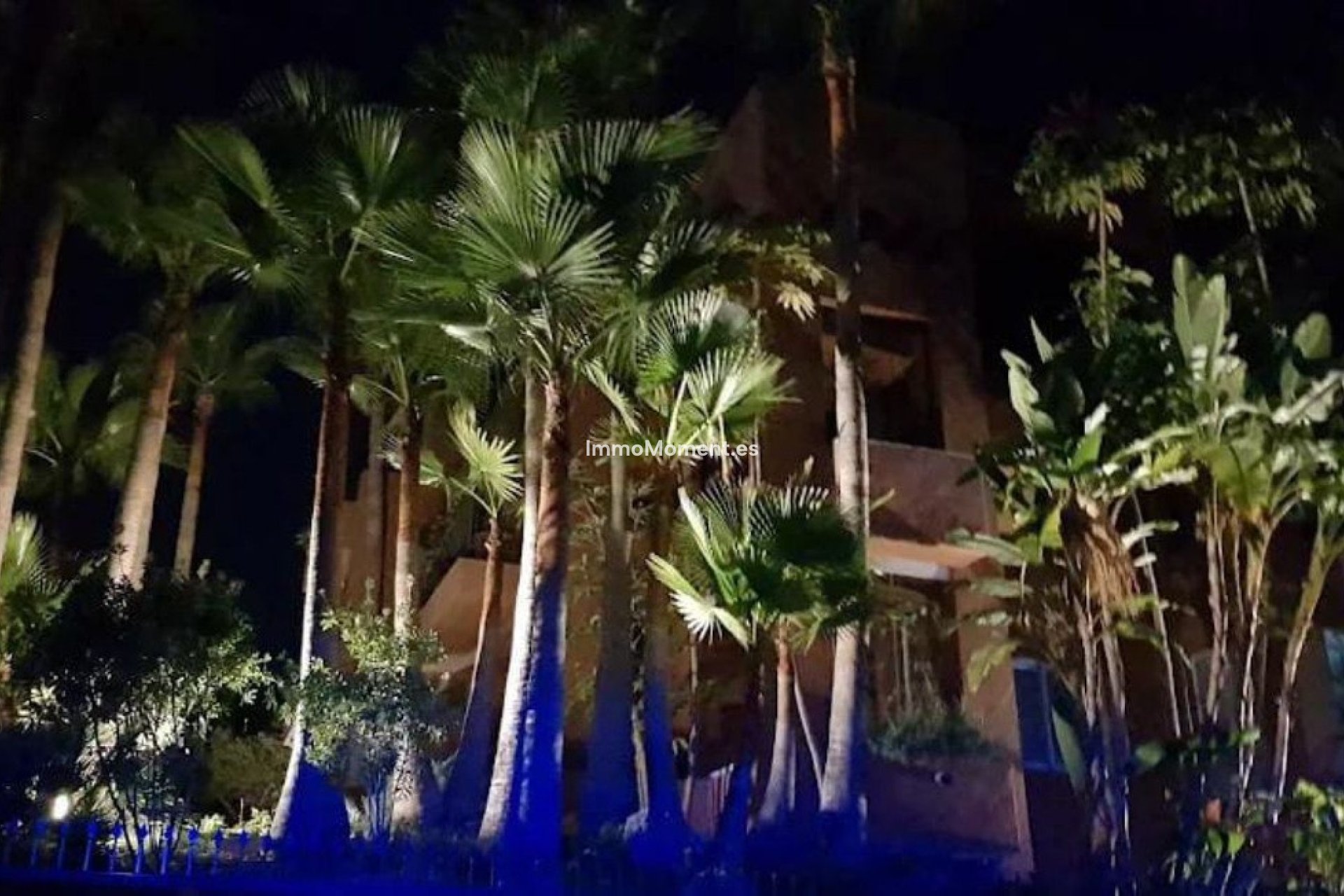 Revente - Appartement - Marbella - Nueva Andalucía