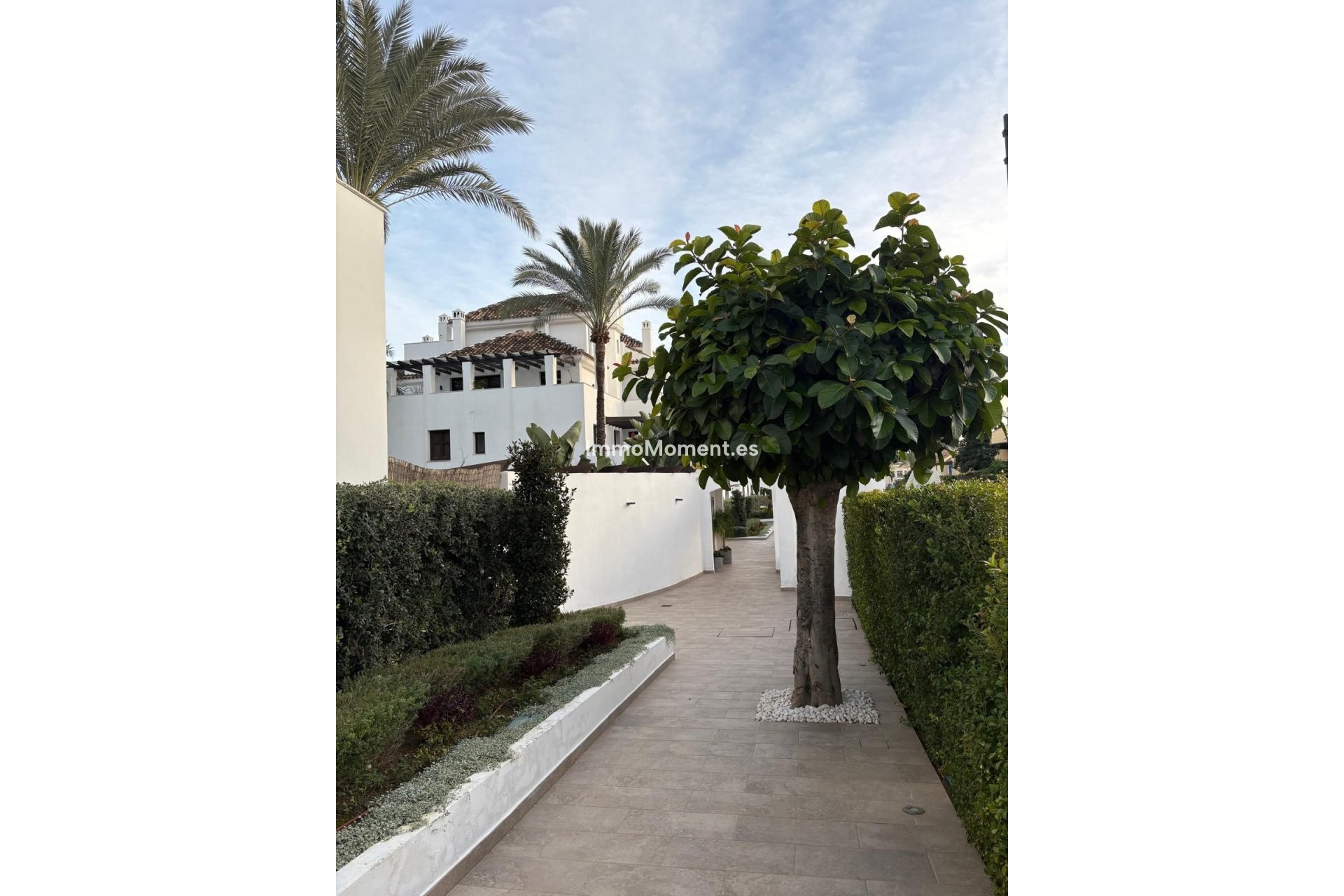 Revente - Appartement - Marbella - Nueva Andalucía