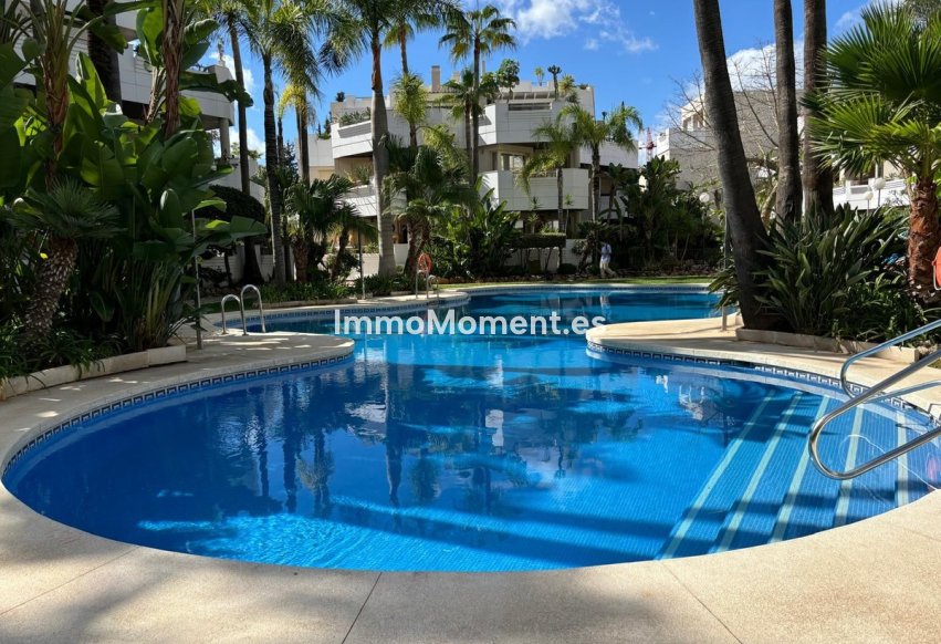 Revente - Appartement - Marbella - Nueva Andalucía