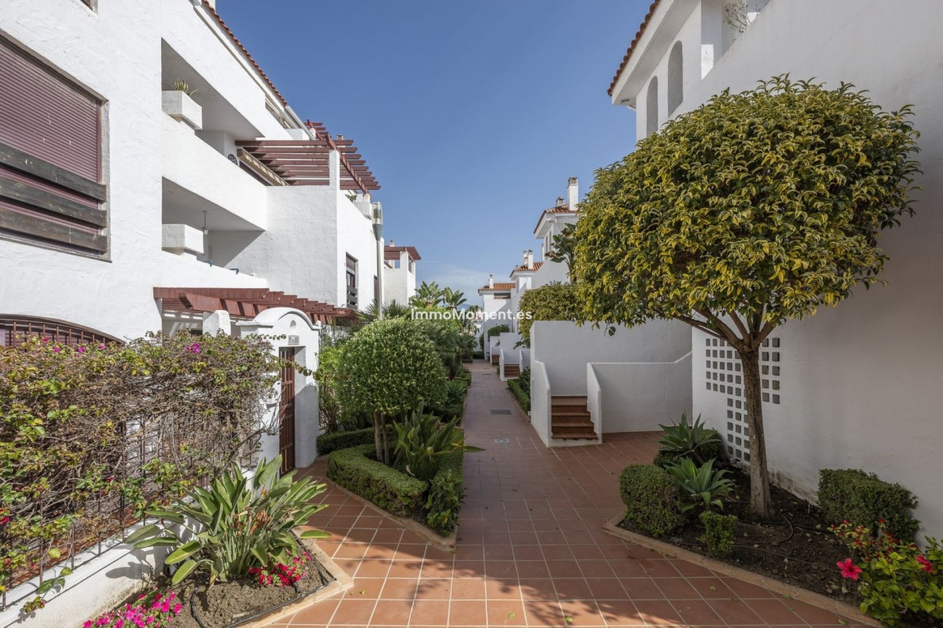 Revente - Appartement - Marbella - Nueva Andalucía
