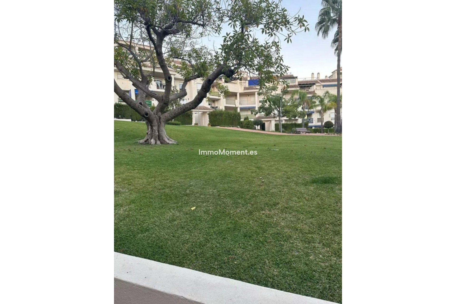 Revente - Appartement - Marbella - Nueva Andalucía