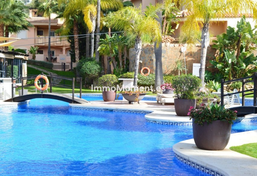 Revente - Appartement - Marbella - Nueva Andalucía