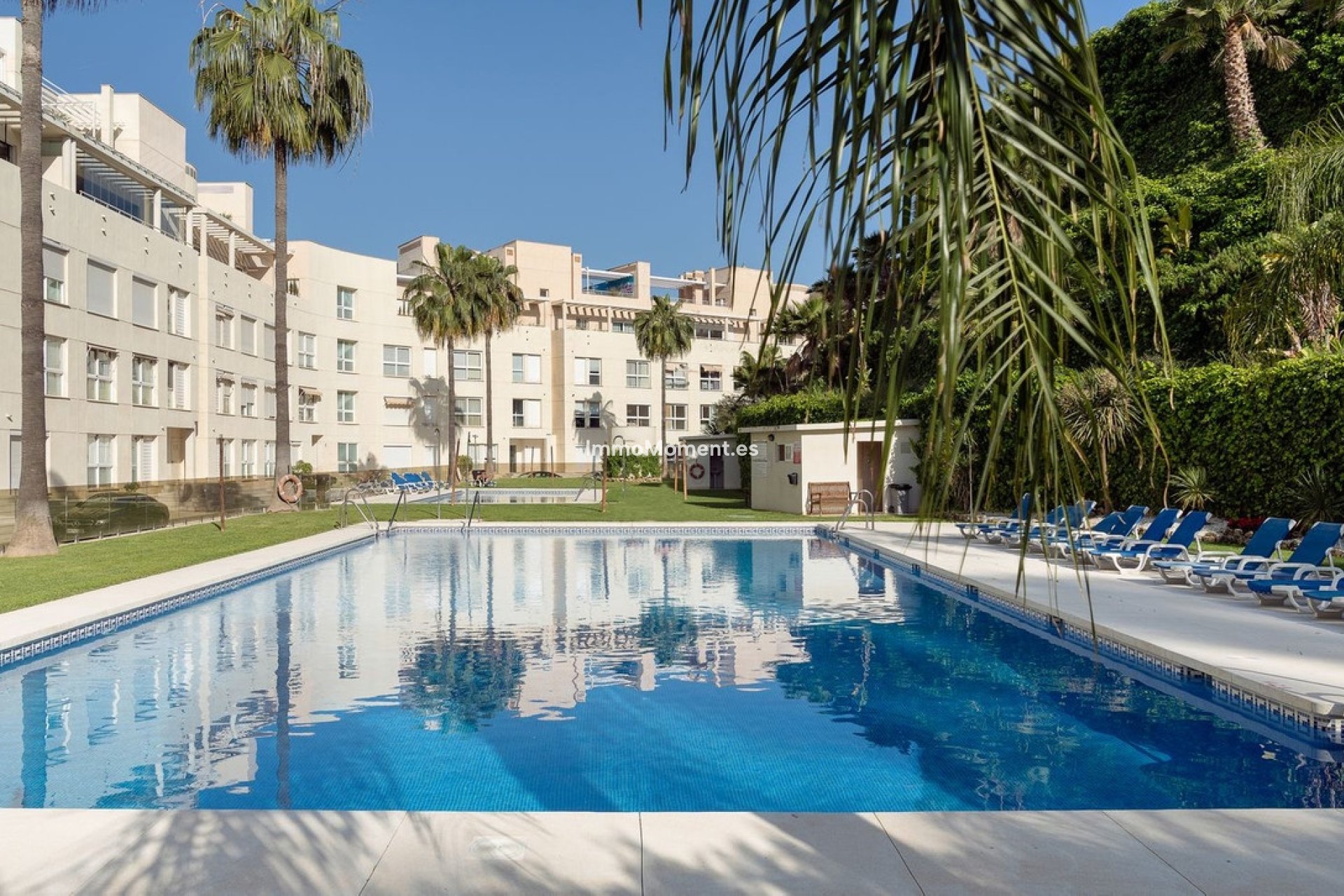 Revente - Appartement - Marbella - Nueva Andalucía
