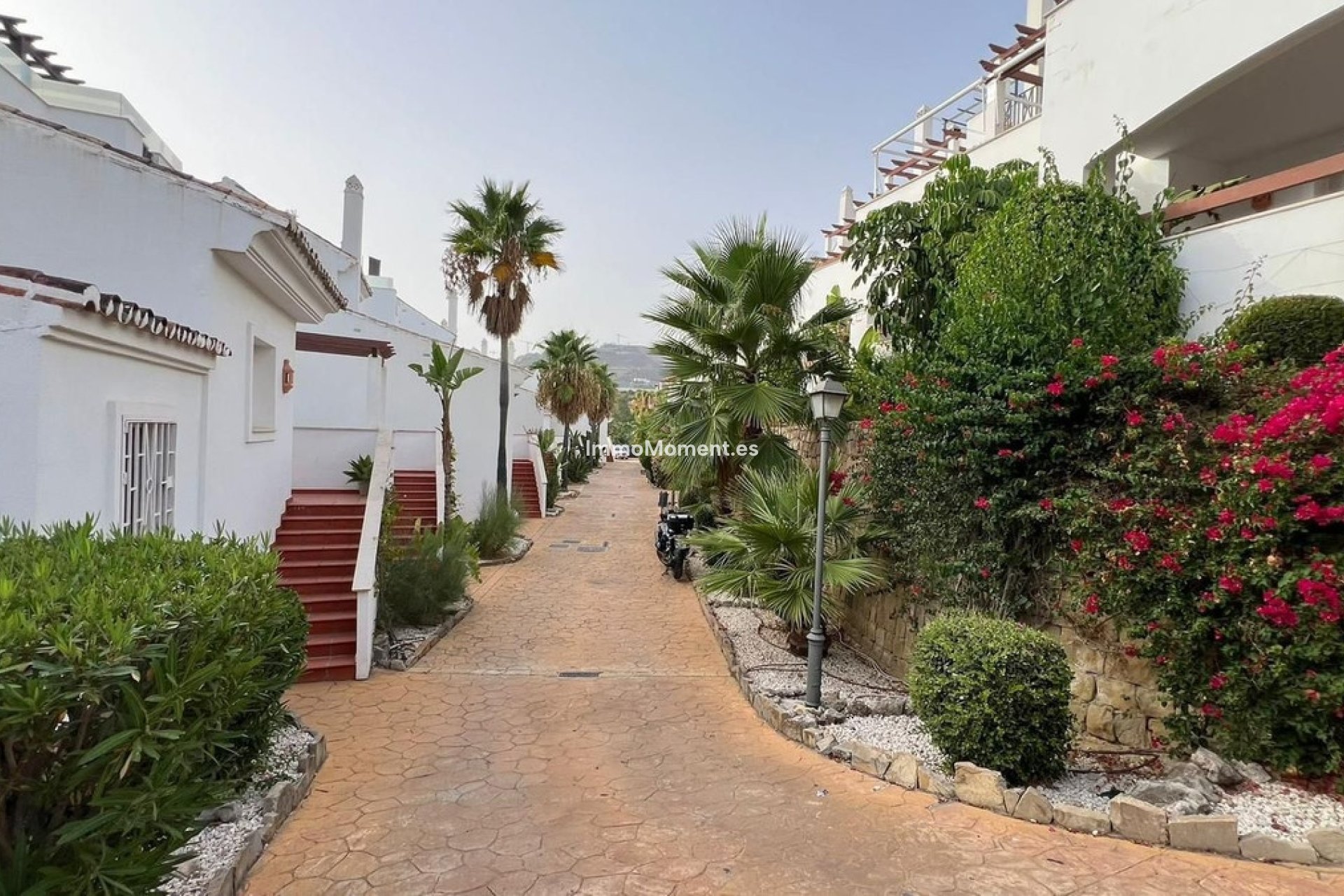 Revente - Appartement - Marbella - Nueva Andalucía