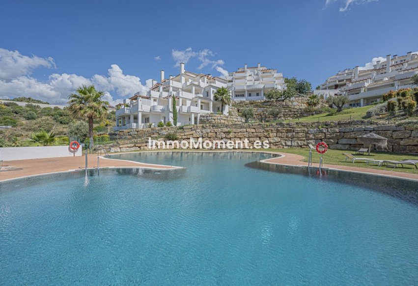 Revente - Appartement - Marbella - Nueva Andalucía