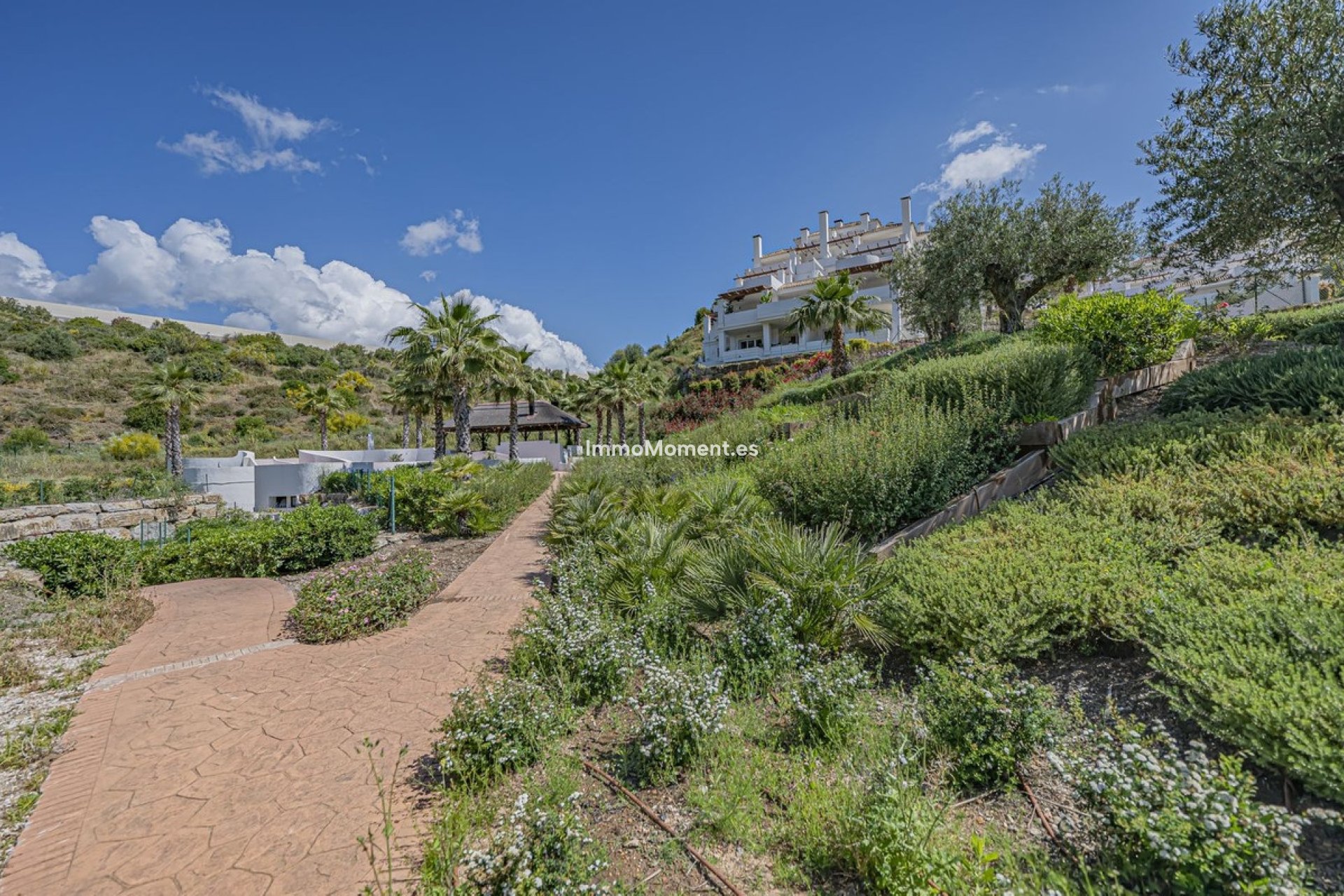 Revente - Appartement - Marbella - Nueva Andalucía