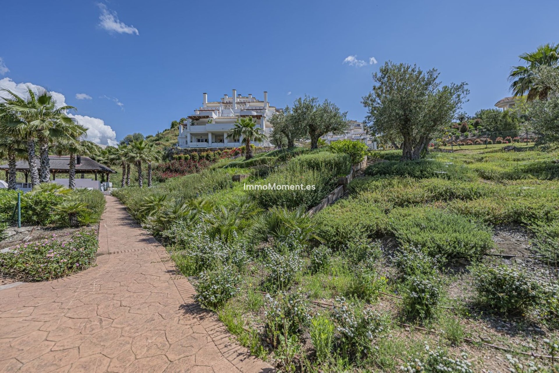 Revente - Appartement - Marbella - Nueva Andalucía