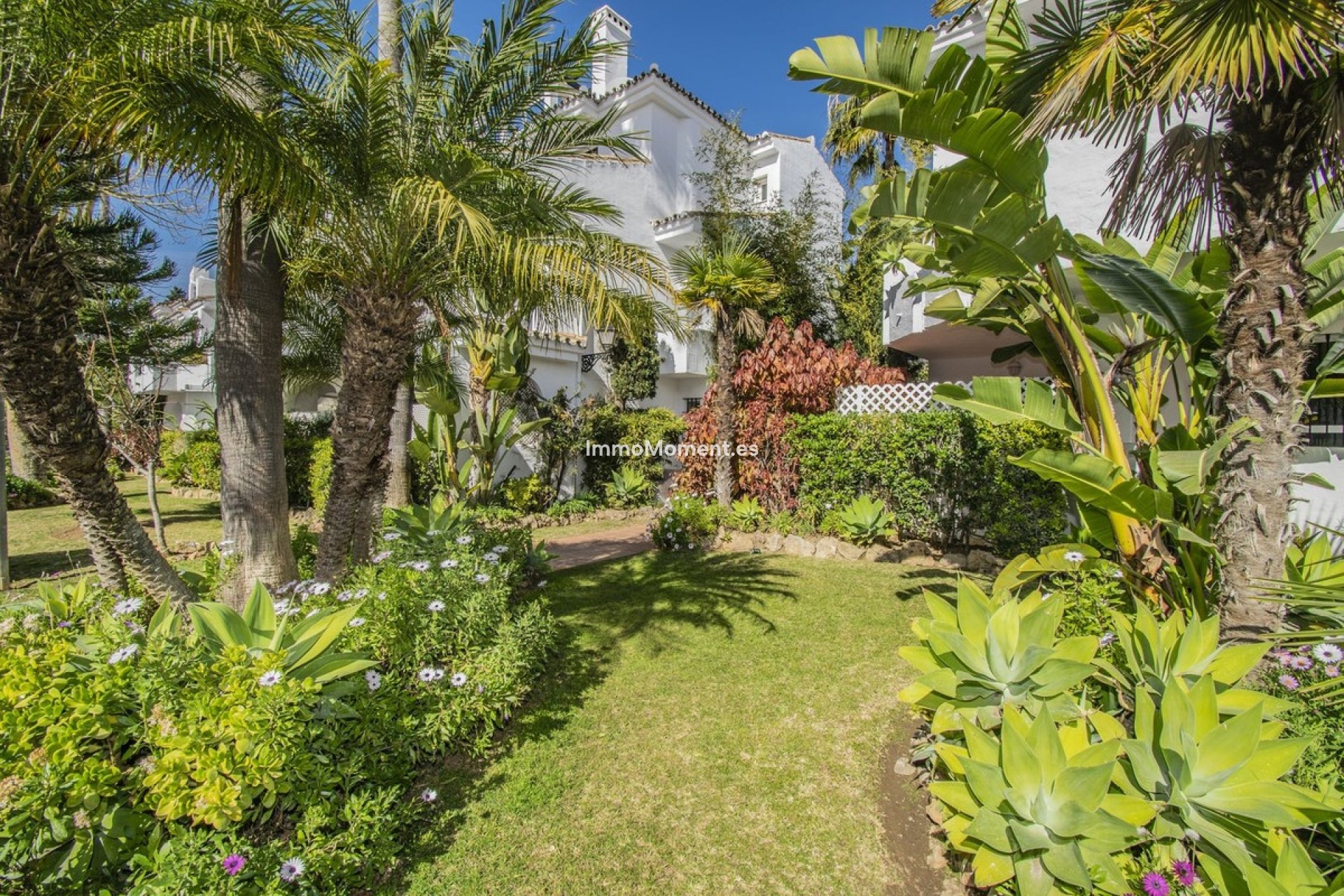 Revente - Appartement - Marbella - Nueva Andalucía