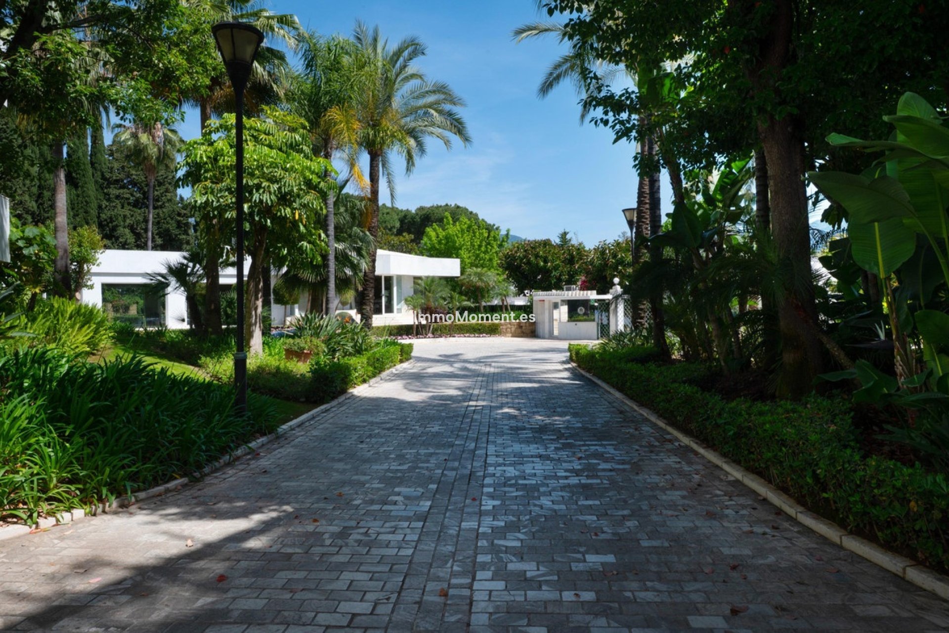 Revente - Appartement - Marbella - Nueva Andalucía