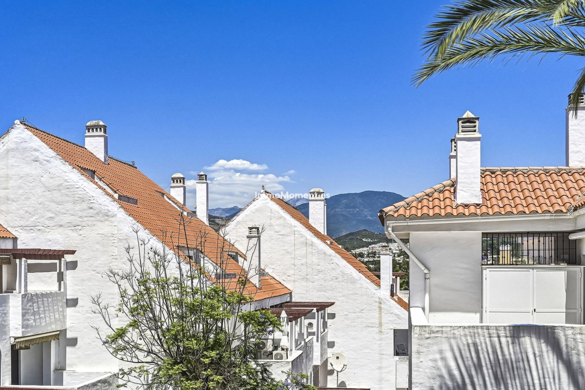 Revente - Appartement - Marbella - Nueva Andalucía