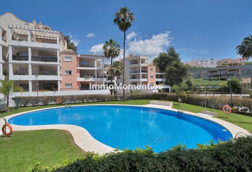 Revente - Appartement - Marbella - Nueva Andalucía