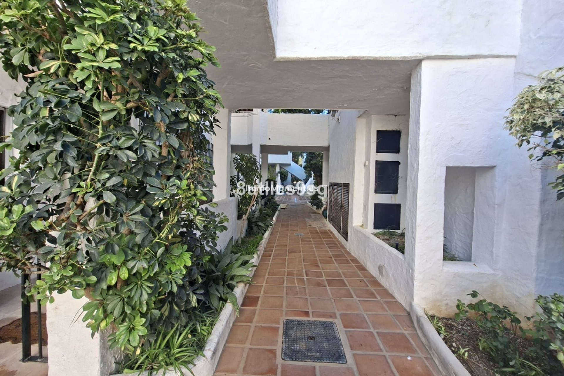 Revente - Appartement - Marbella - Nueva Andalucía