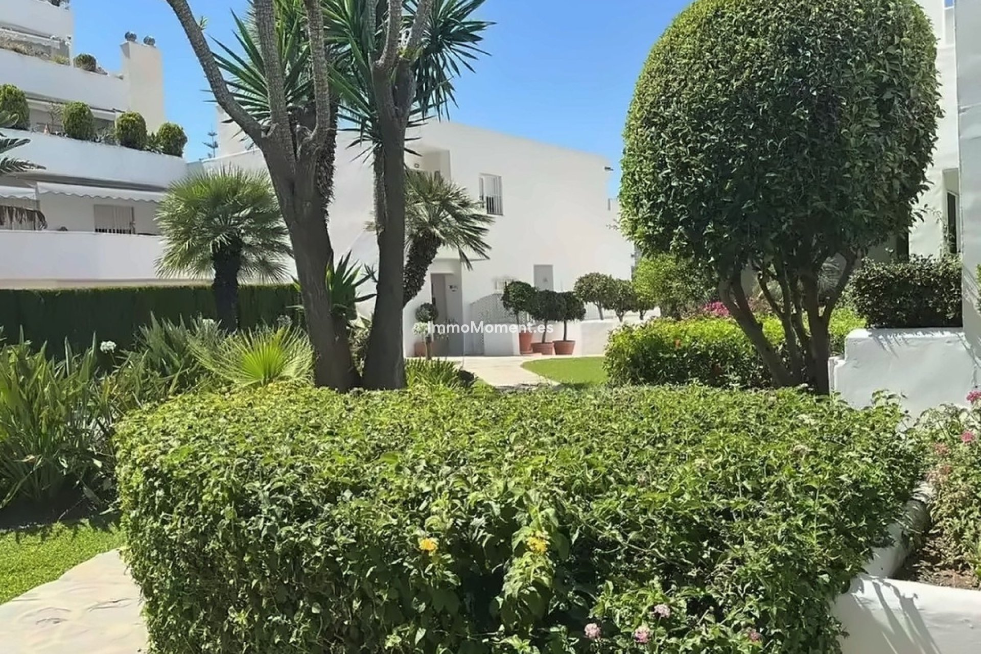 Revente - Appartement - Marbella - Nueva Andalucía