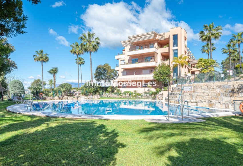 Revente - Appartement - Marbella - Nueva Andalucía