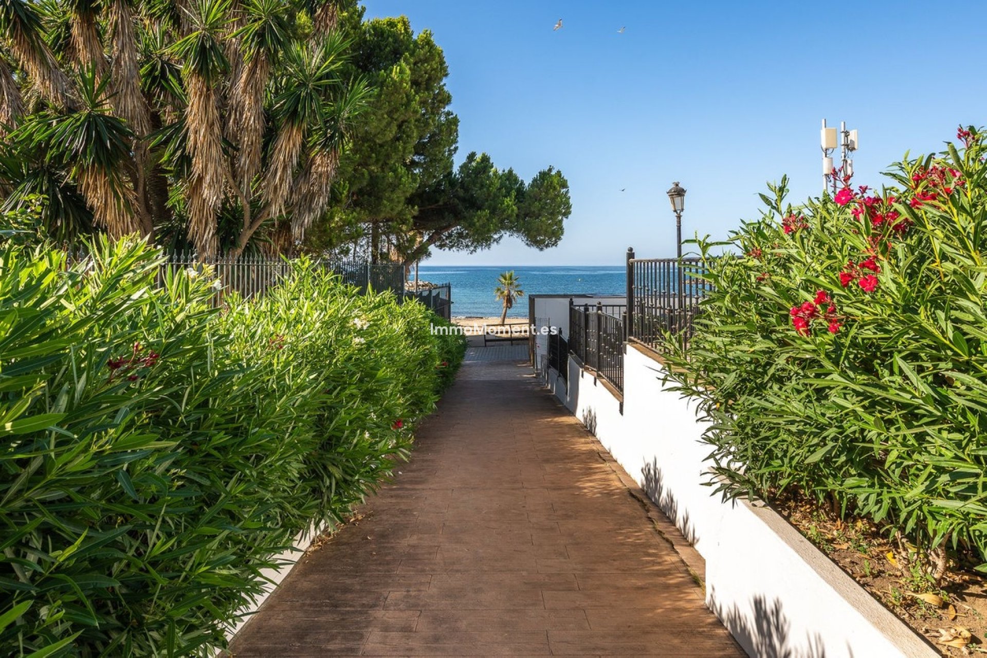 Revente - Appartement - Marbella - Puerto Banús