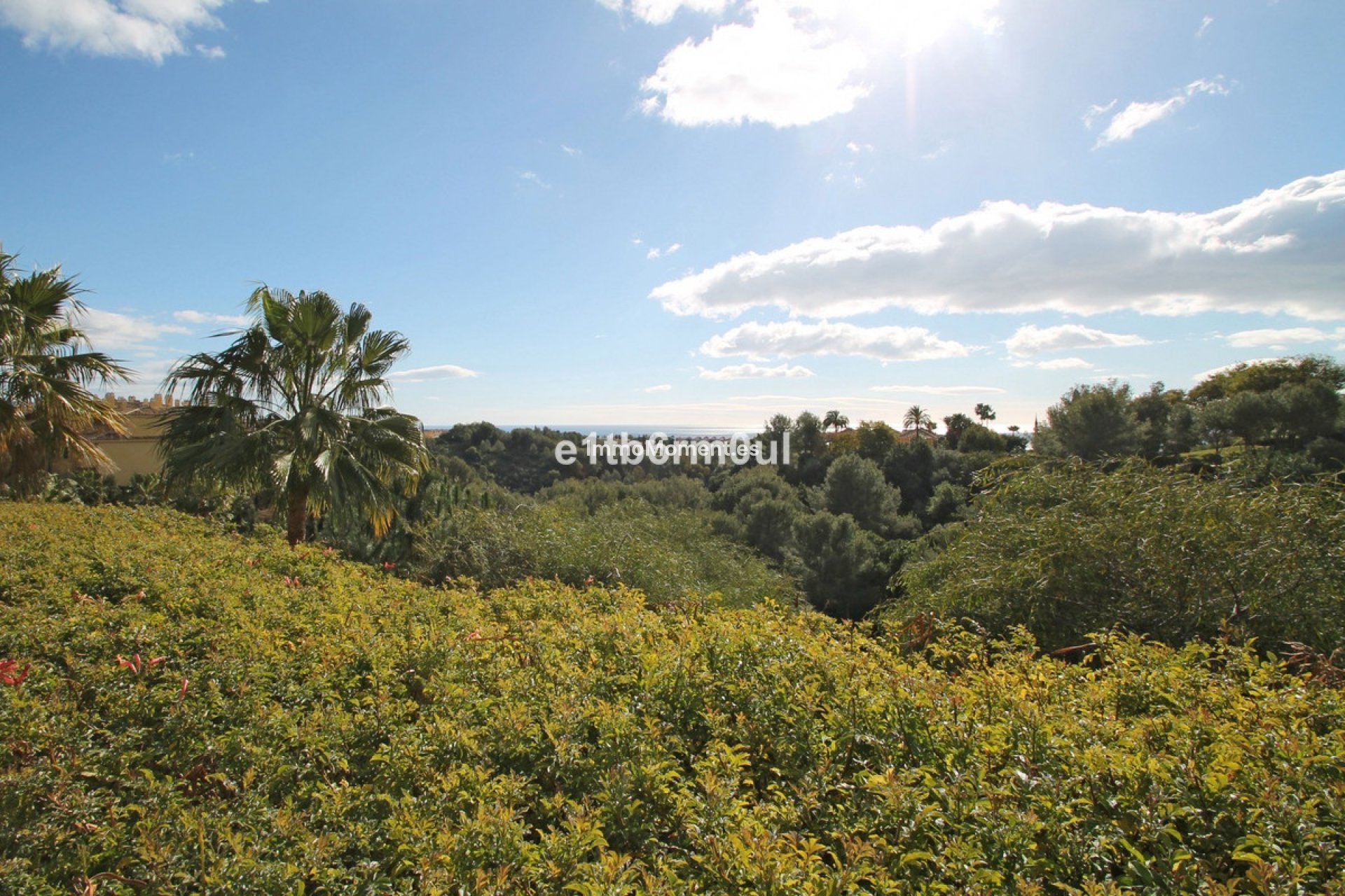 Revente - Appartement - Marbella - The Golden Mile