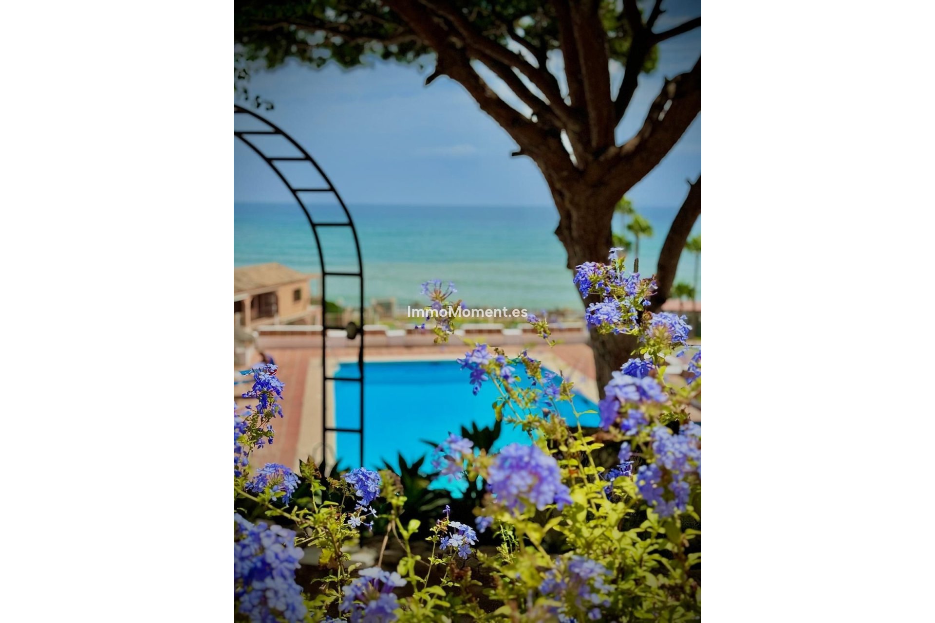 Revente - Appartement - Mijas - Calahonda